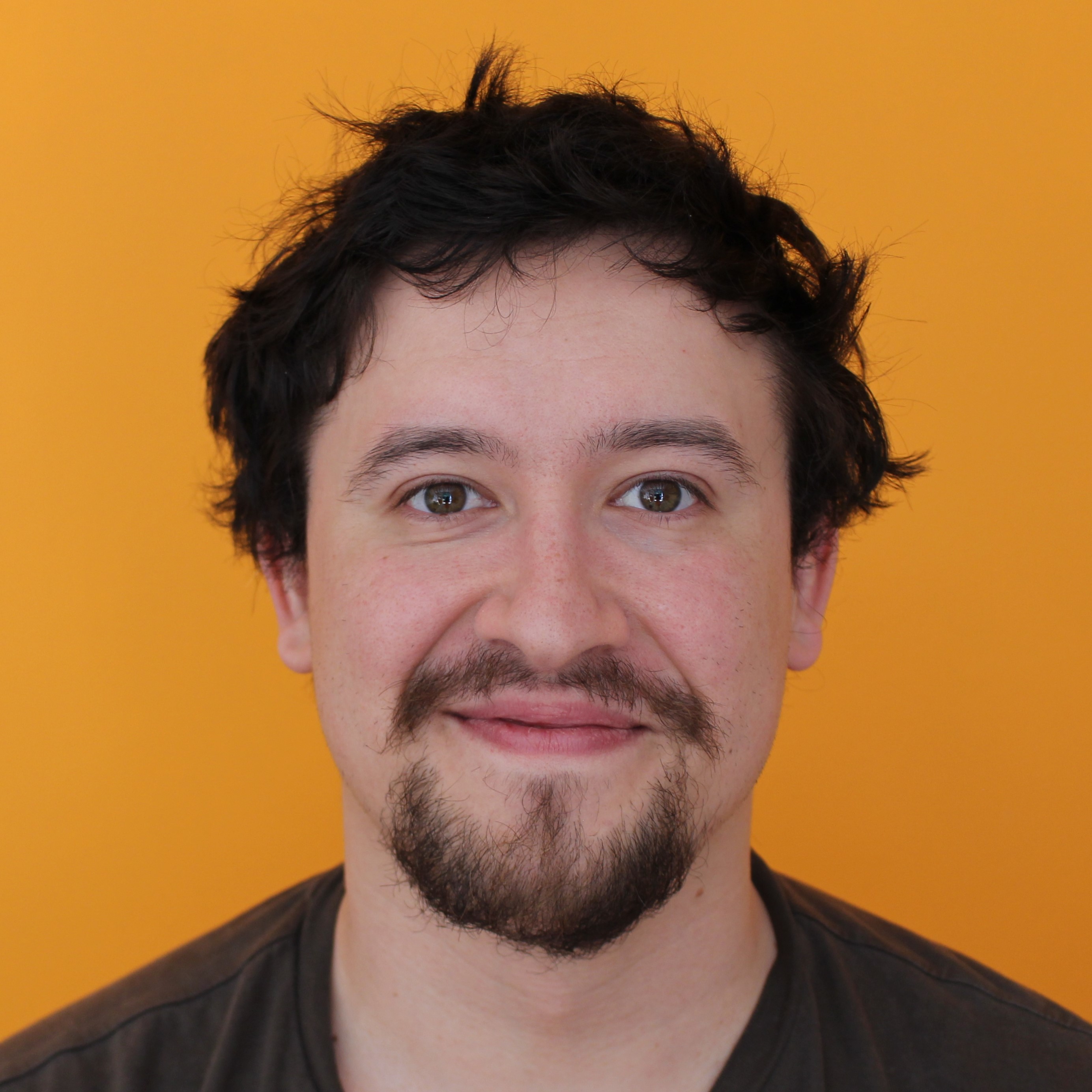 A close up of a man's face. He is looking directly at the camera and smiling slightly. He has short hair, a moustache and a goatee.